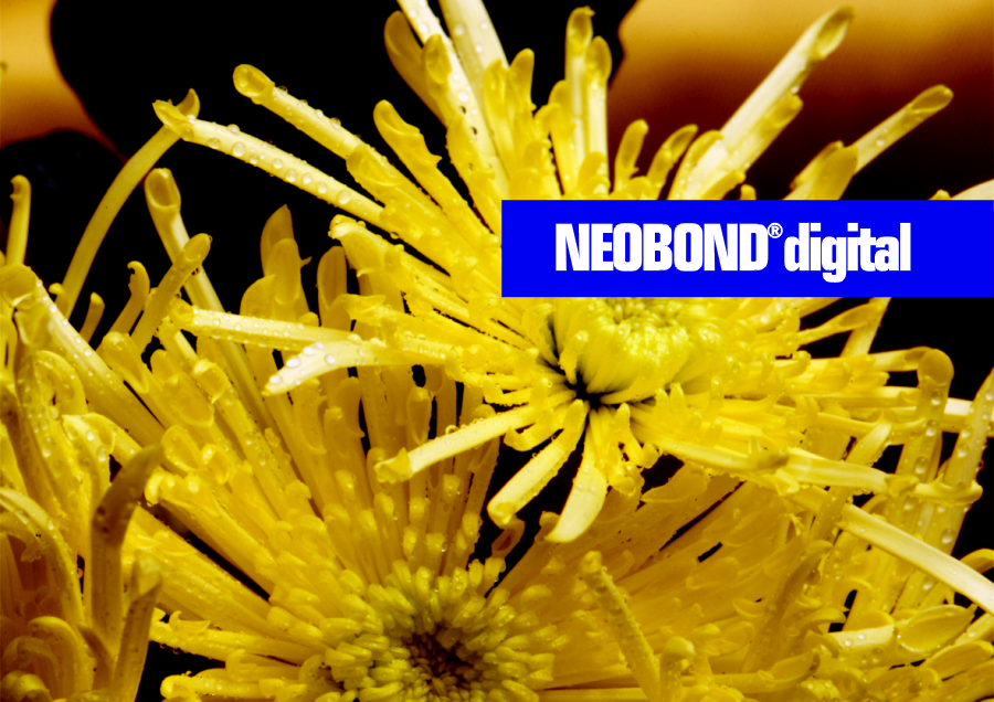 Lielformata druka